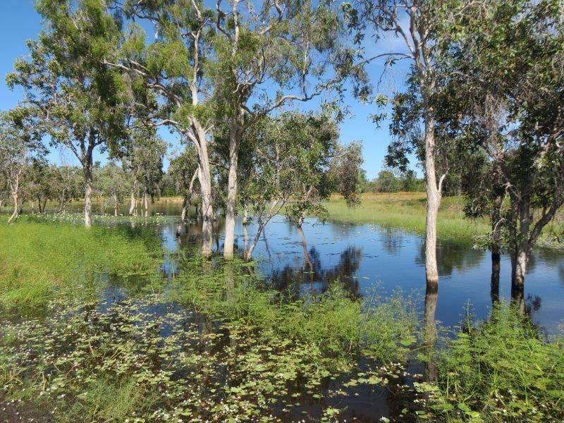 Vanlee Station, Mount Surprise For Sale by Farmbuy.com - image 24