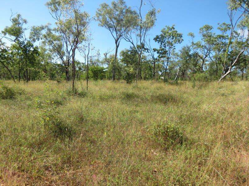 Vanlee Station, Mount Surprise For Sale by Farmbuy.com - image 19