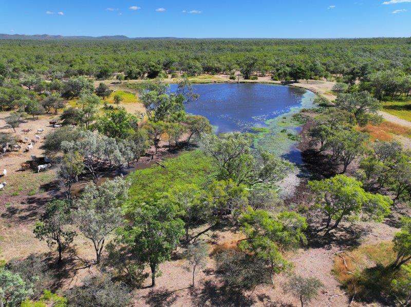 Vanlee Station, Mount Surprise For Sale by Farmbuy.com - image 4