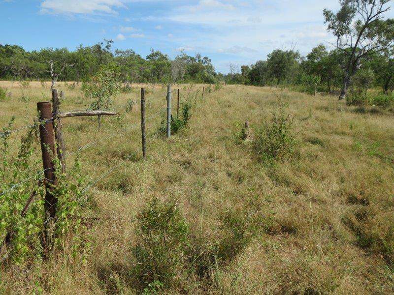 Vanlee Station, Mount Surprise For Sale by Farmbuy.com - image 27