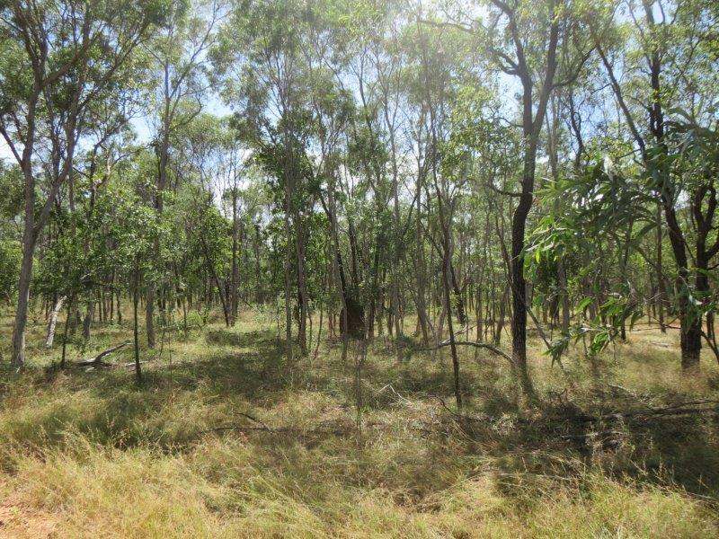 Vanlee Station, Mount Surprise For Sale by Farmbuy.com - image 25