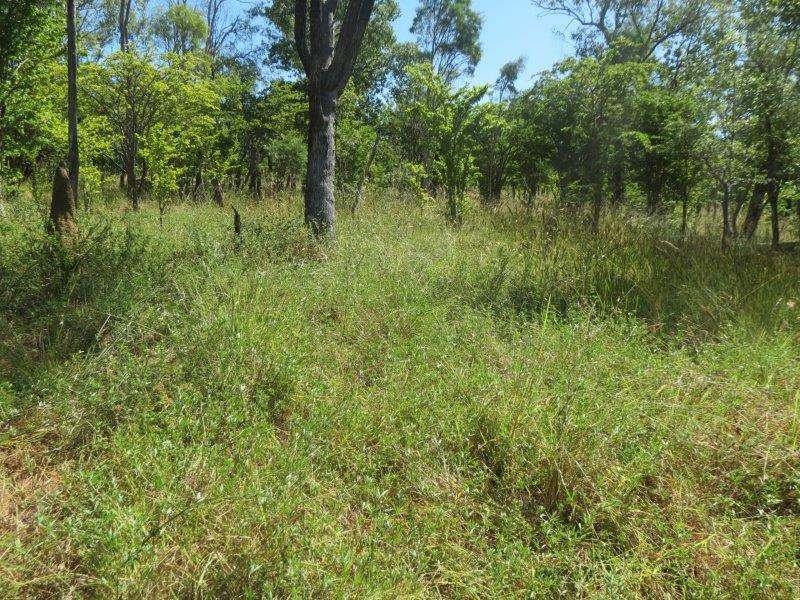 Vanlee Station, Mount Surprise For Sale by Farmbuy.com - image 12