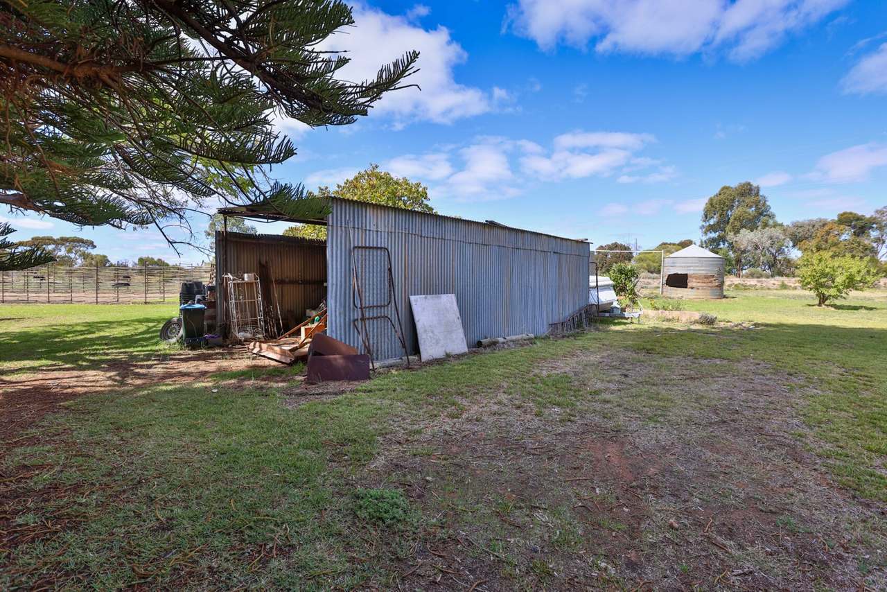 190 Dow Avenue, Irymple For Sale by Farmbuy.com - image 13