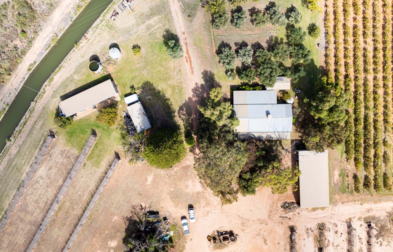 190 Dow Avenue, Irymple For Sale by Farmbuy.com - image 9