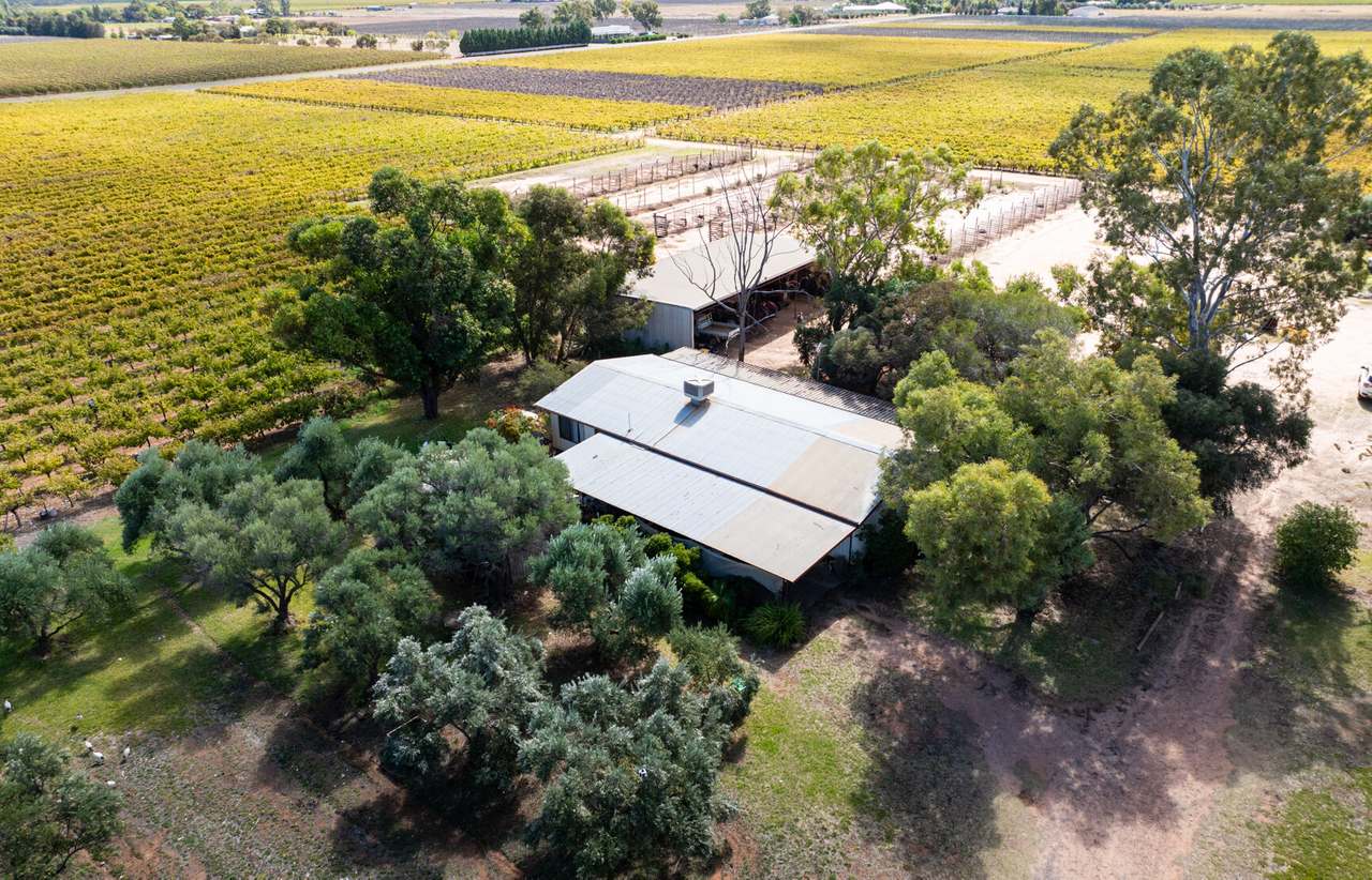 190 Dow Avenue, Irymple For Sale by Farmbuy.com - image 10