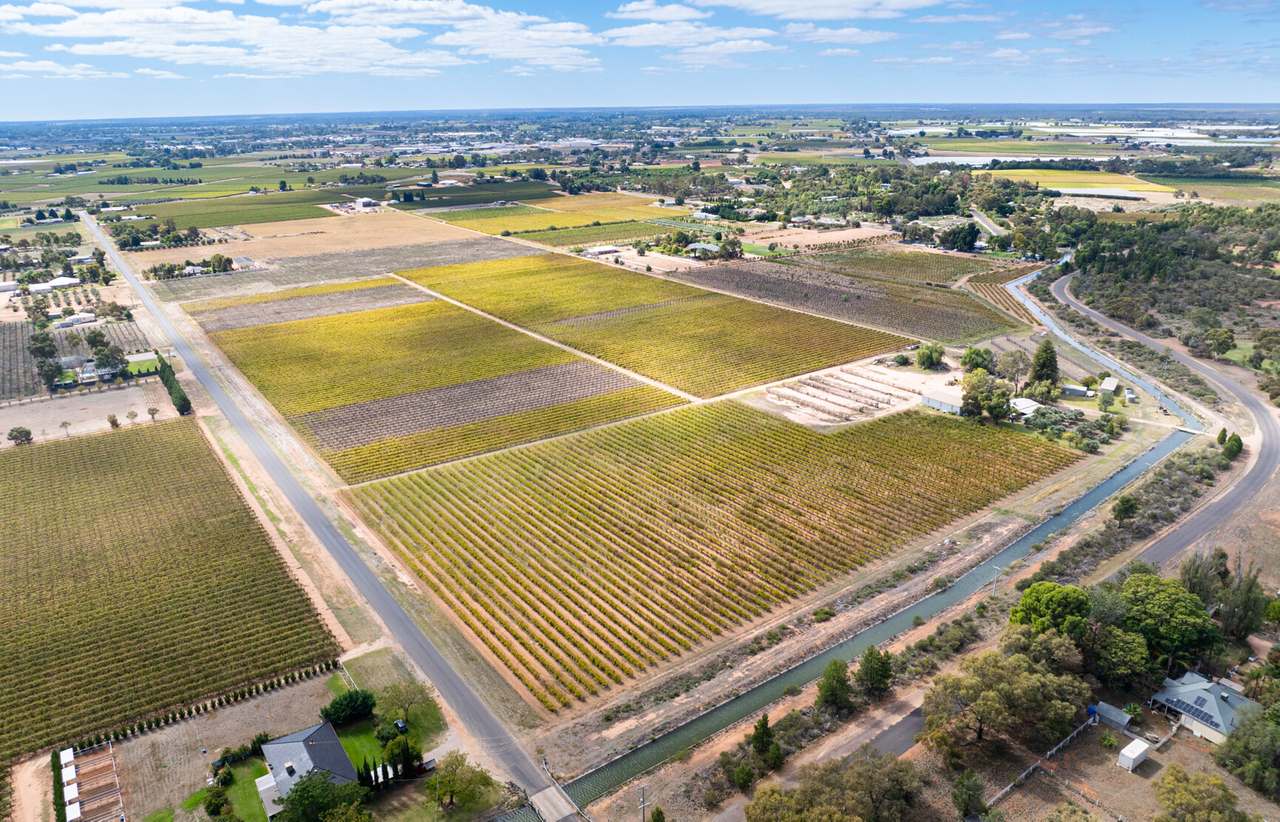 190 Dow Avenue, Irymple For Sale by Farmbuy.com - image 3