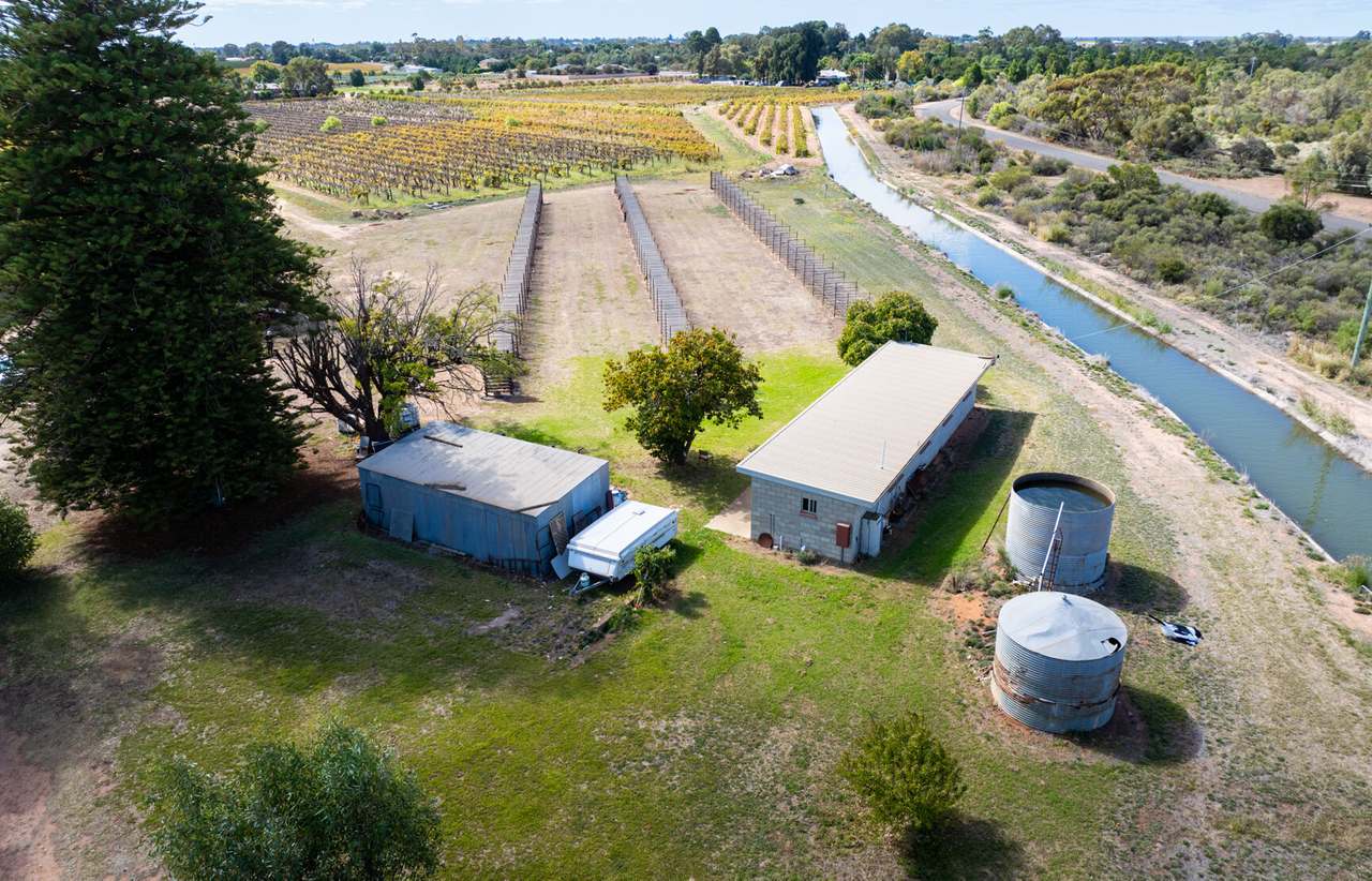 190 Dow Avenue, Irymple For Sale by Farmbuy.com - image 11