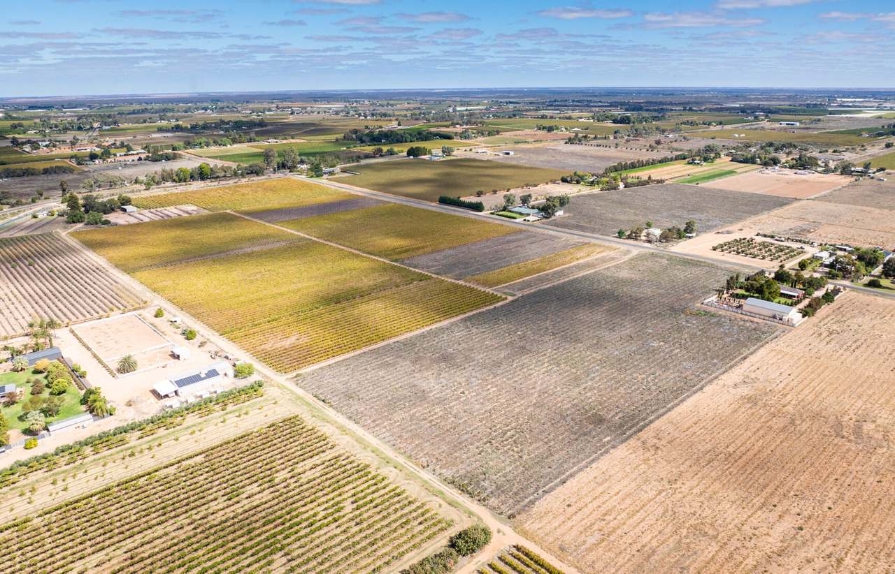 190 Dow Avenue, Irymple For Sale by Farmbuy.com - image 6