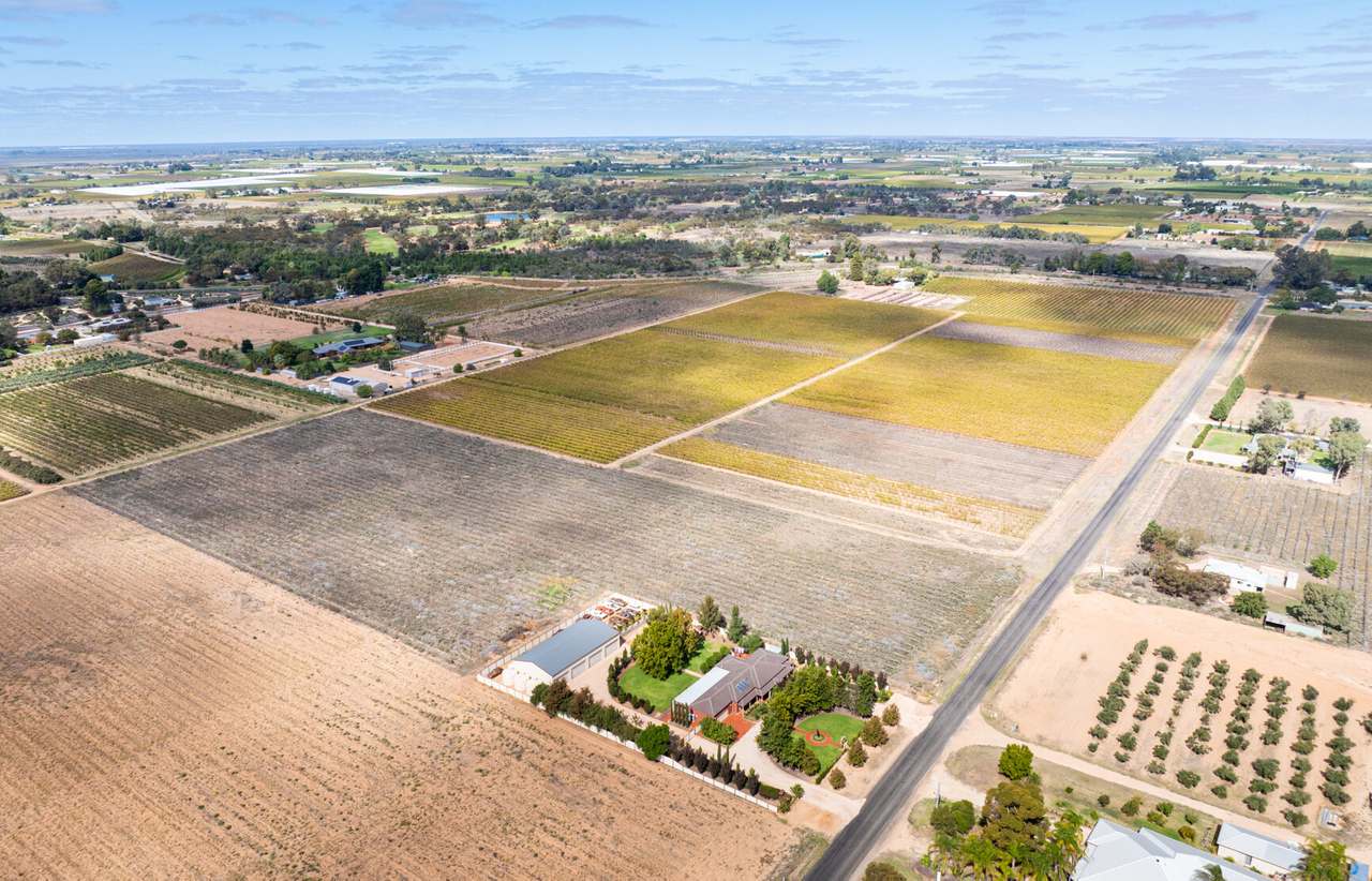 190 Dow Avenue, Irymple For Sale by Farmbuy.com - image 5