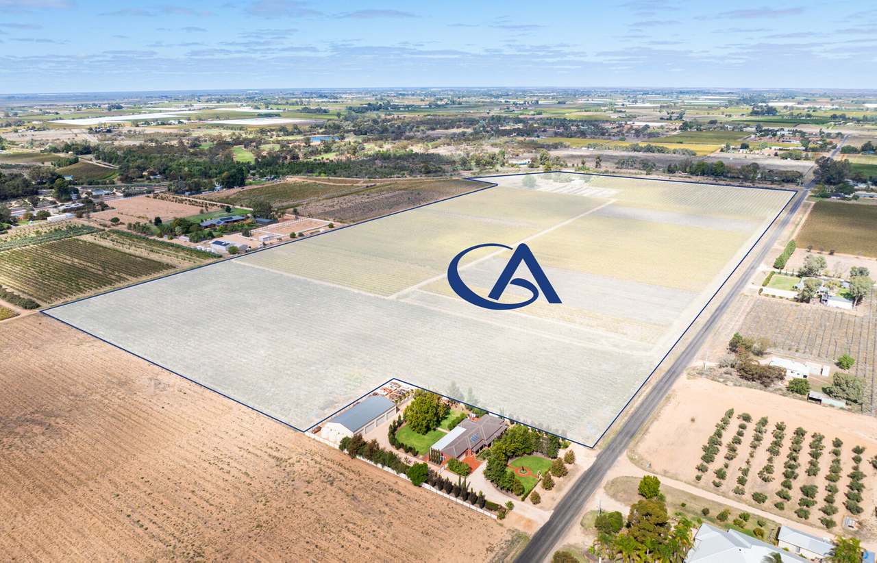 190 Dow Avenue, Irymple For Sale by Farmbuy.com - image 4