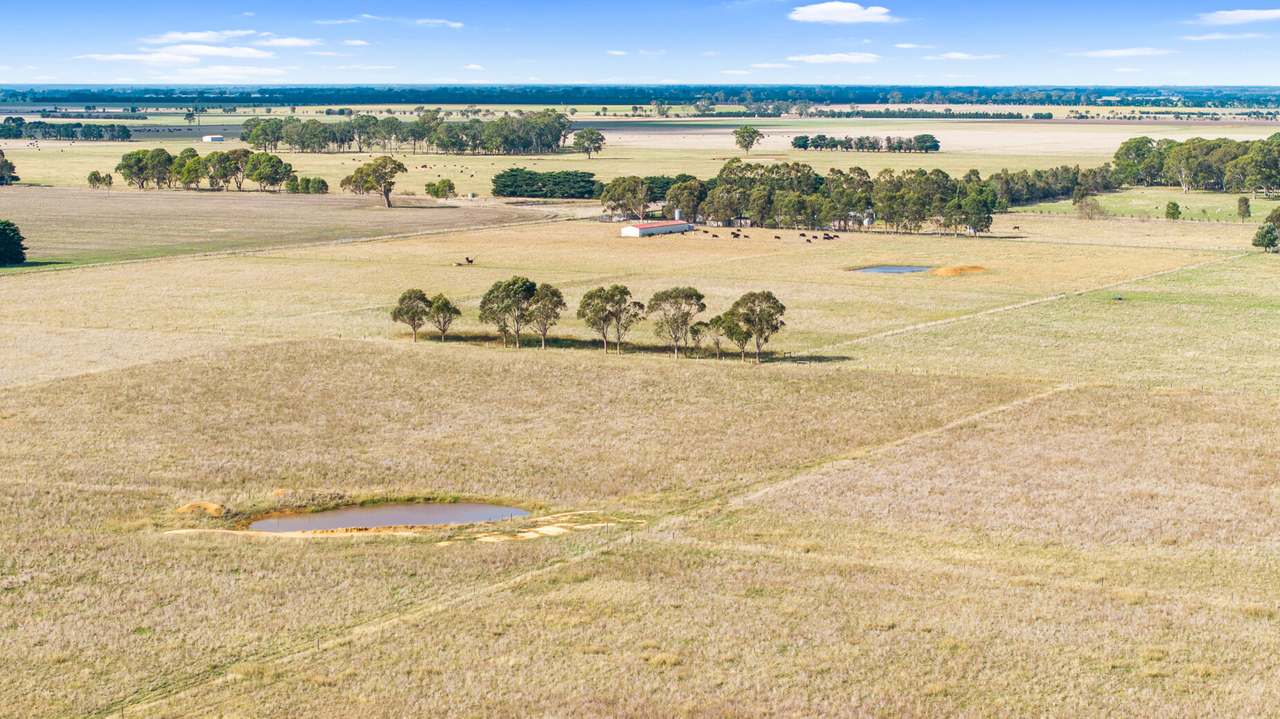 Toongabbie For Sale by Farmbuy.com - image 7