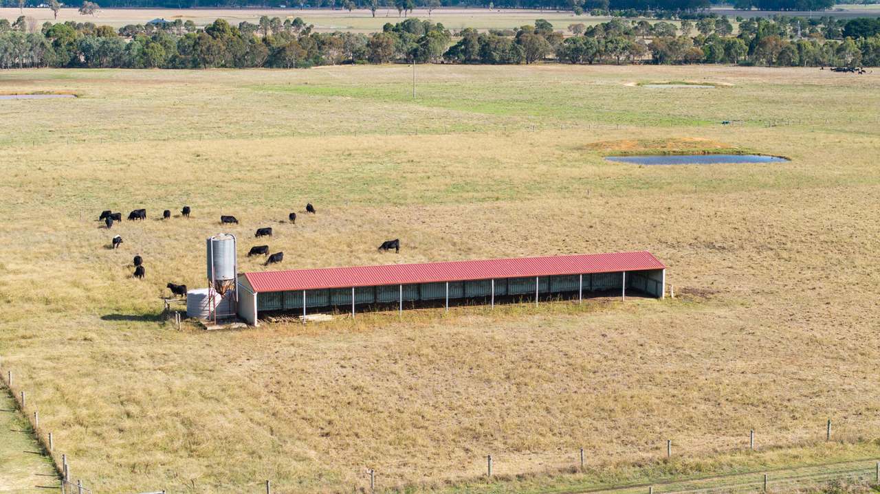 Toongabbie For Sale by Farmbuy.com - image 6