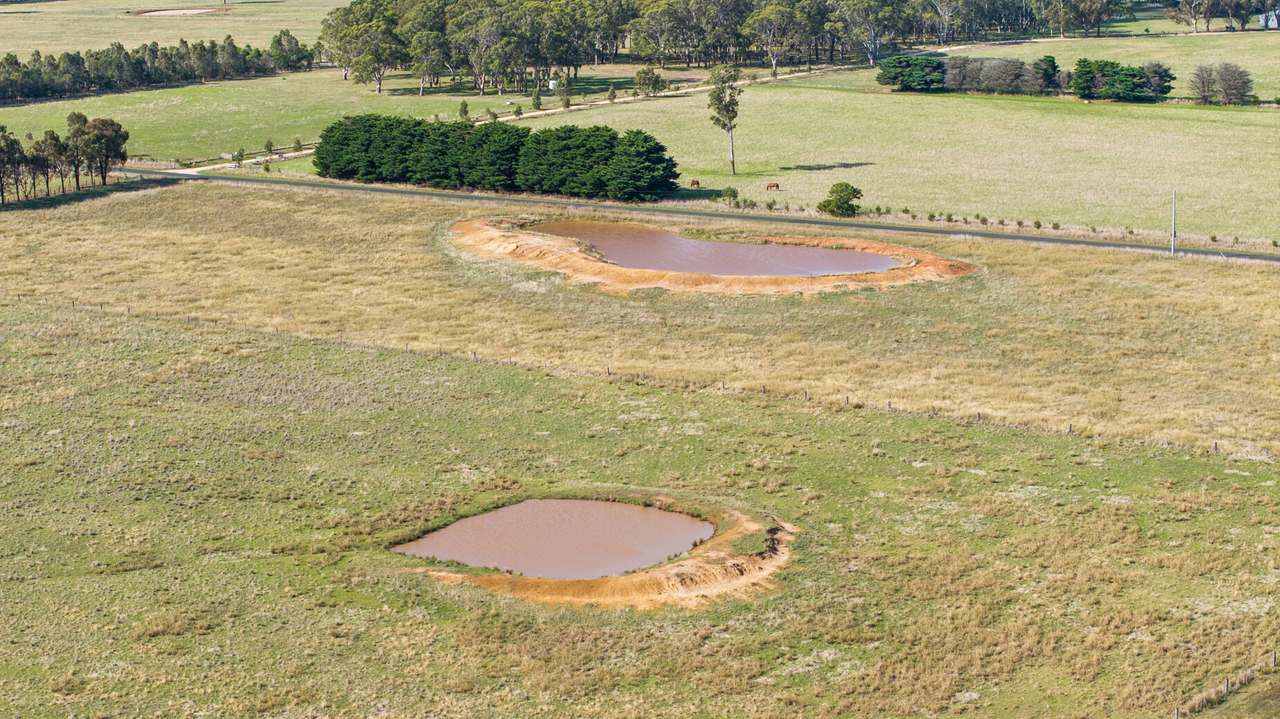Toongabbie For Sale by Farmbuy.com - image 10