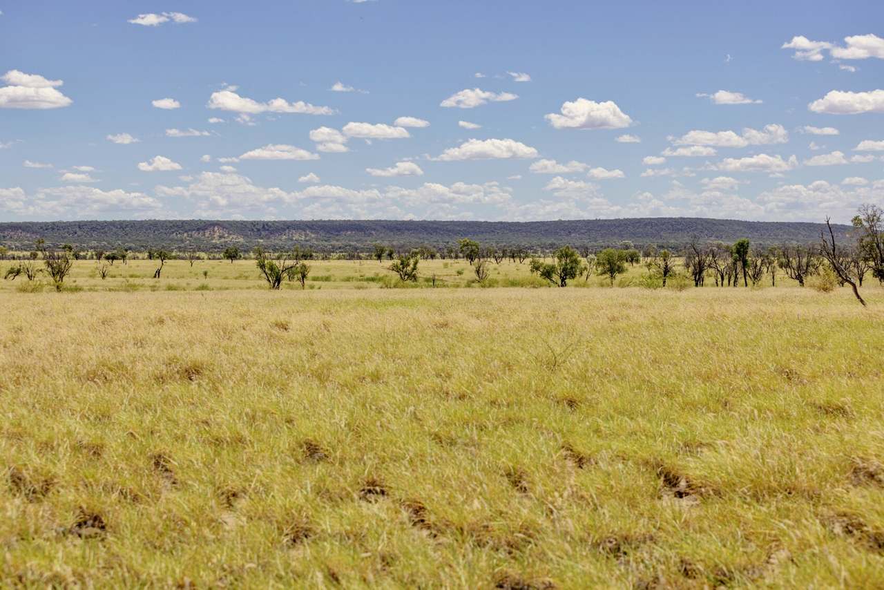 6735 Adavale Road, Blackall Sold by Farmbuy.com - image 8