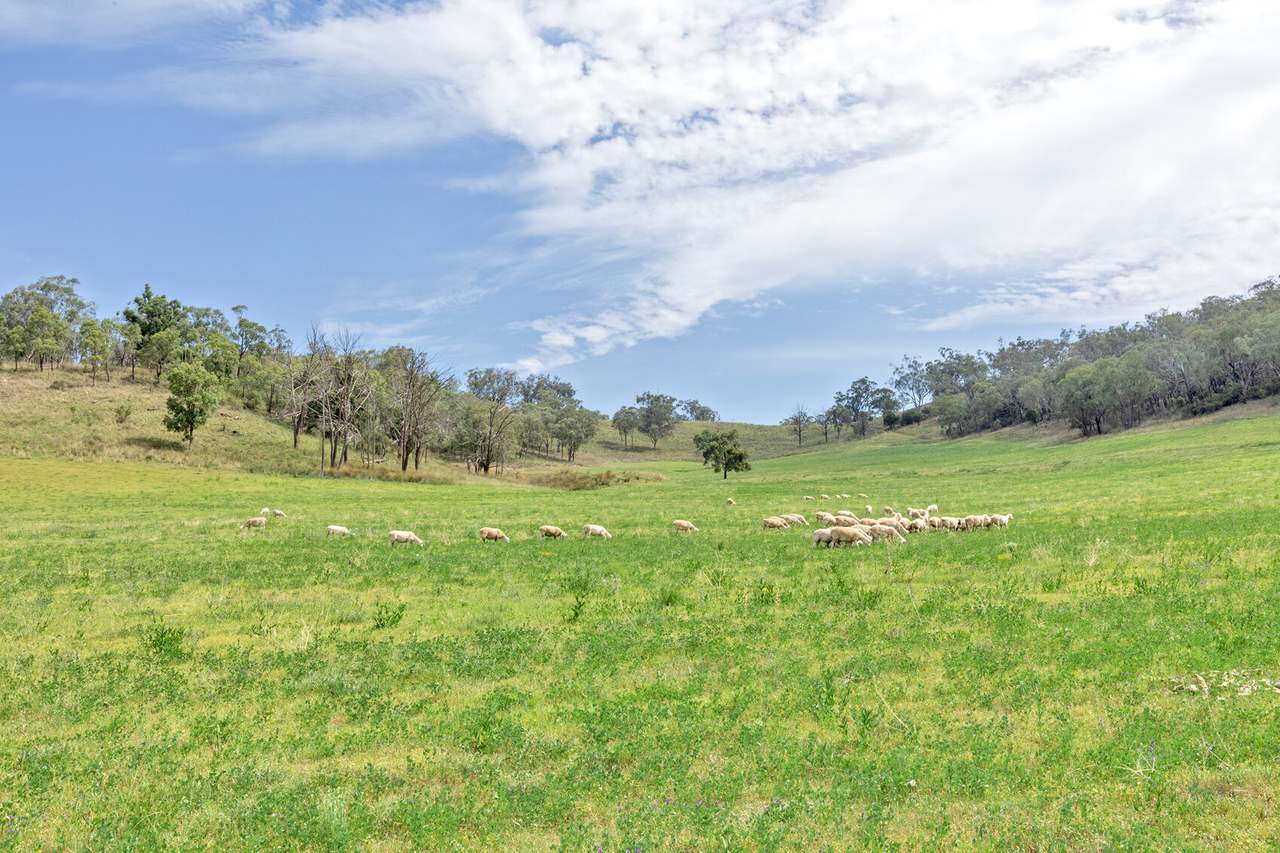 225 Echo Hills Rd, Dungowan Expressions of Interest by Farmbuy.com - image 15