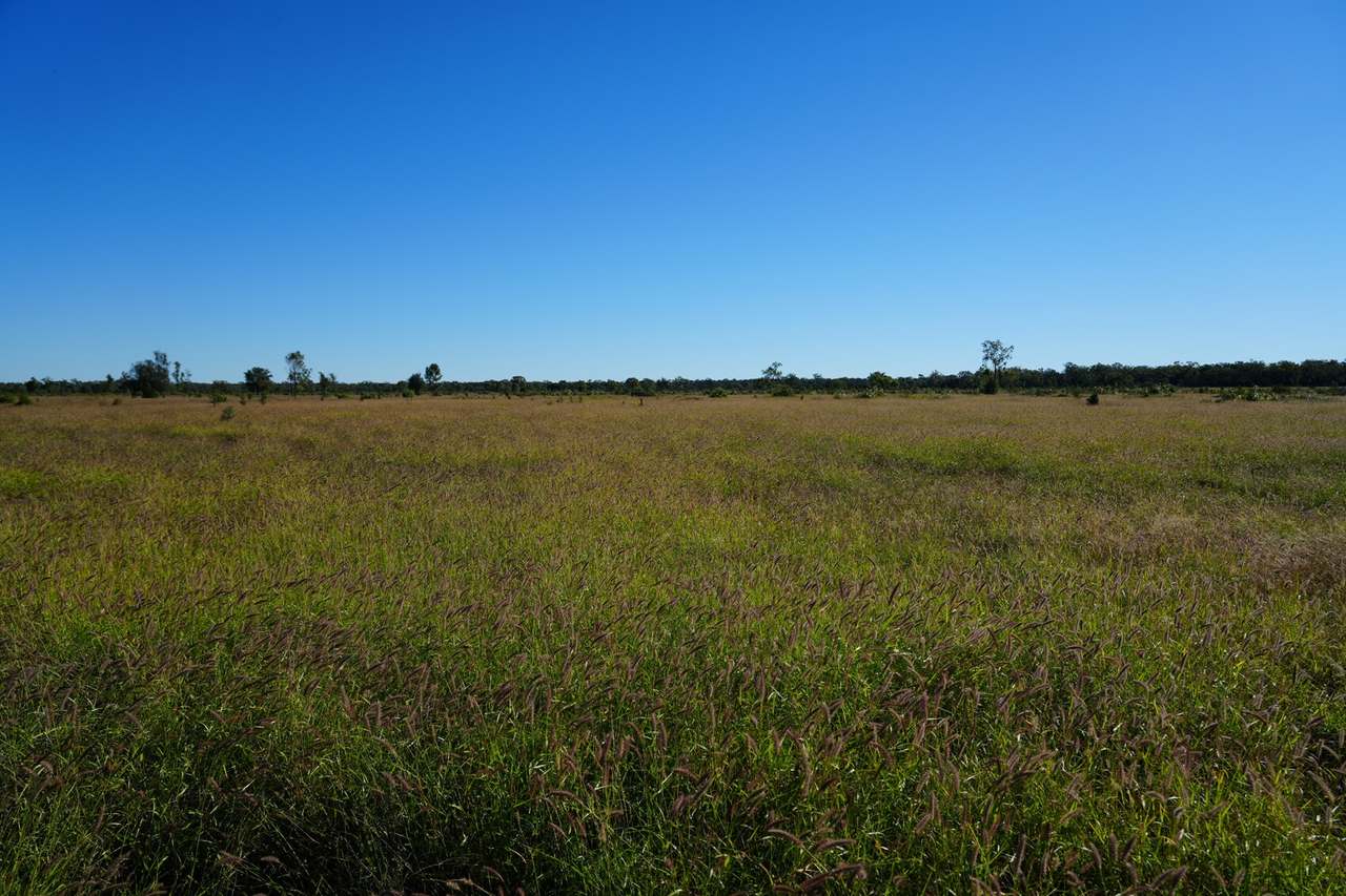 7286 Roma Southern Road, Ballaroo Sold by Farmbuy.com - image 13