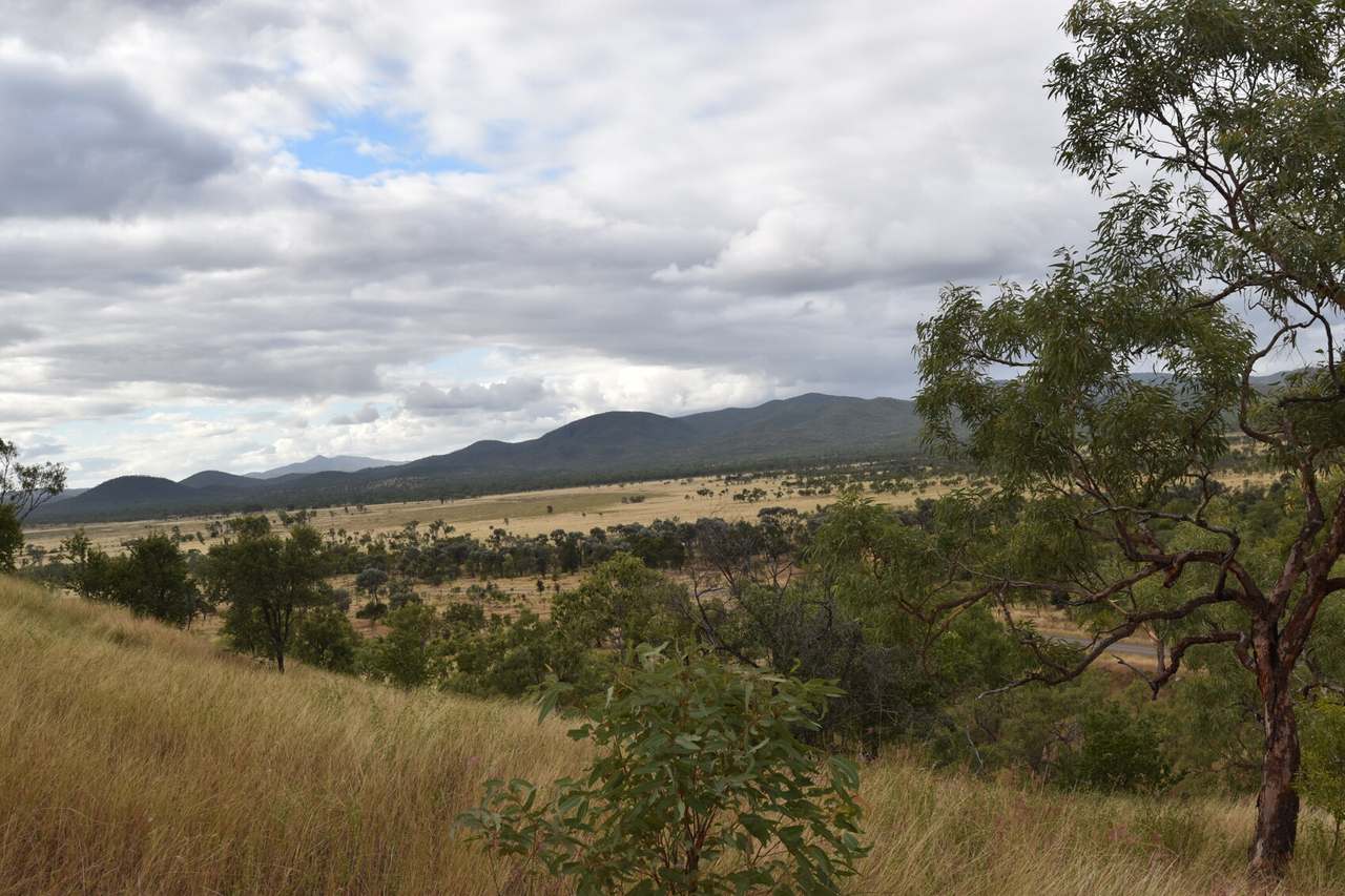 822 Emu Plains Road, Collinsville Sold by Farmbuy.com - image 20