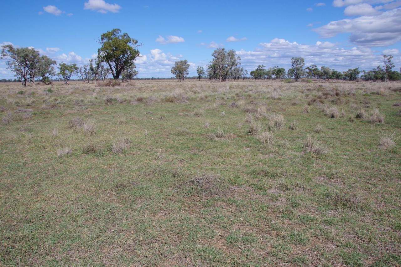 202 Vera Leap Road, Wee Waa Sold by Farmbuy.com - image 47