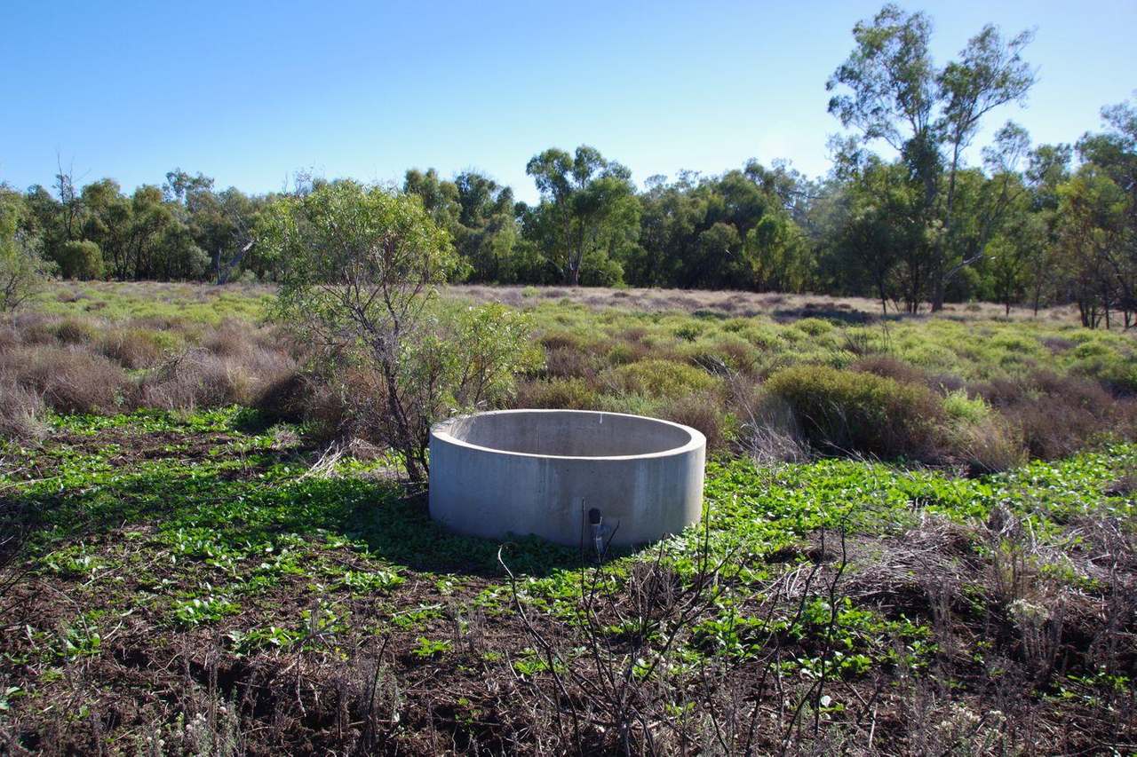 202 Vera Leap Road, Wee Waa Sold by Farmbuy.com - image 48