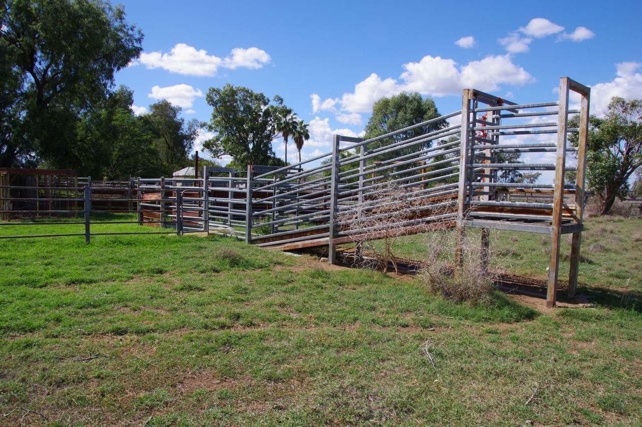 202 Vera Leap Road, Wee Waa Sold by Farmbuy.com - image 32