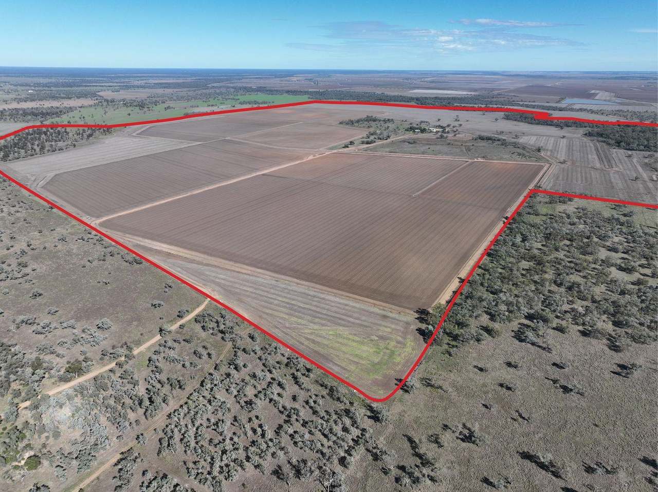 202 Vera Leap Road, Wee Waa Sold by Farmbuy.com - image 2