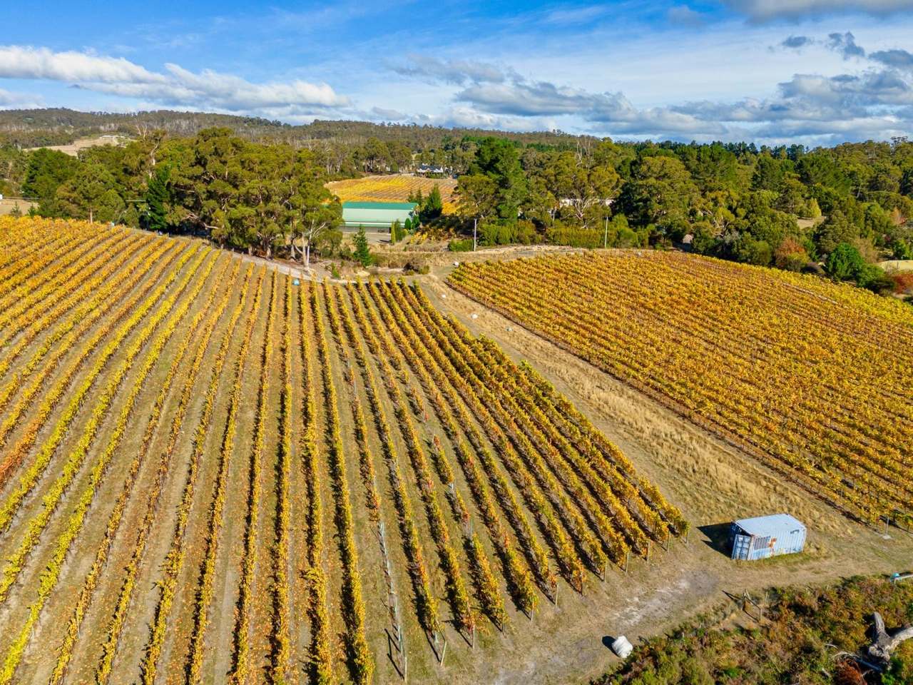 1848 Cygnet Coast Road, Cygnet Sold by Farmbuy.com - image 5