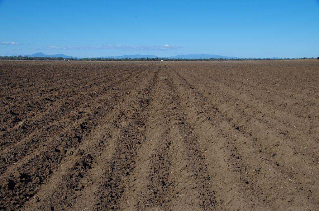 1121 Spring Plains Road, Narrabri Sold by Farmbuy.com - image 6