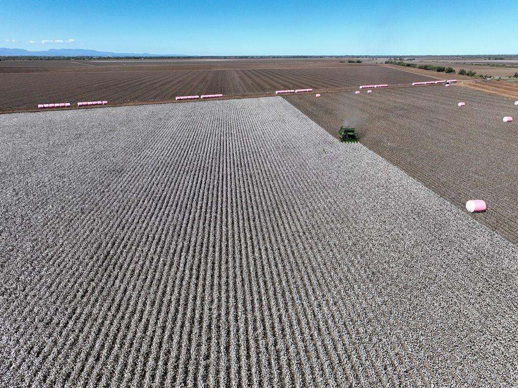 1121 Spring Plains Road, Narrabri Sold by Farmbuy.com - image 12