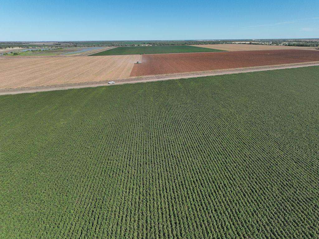 1121 Spring Plains Road, Narrabri Sold by Farmbuy.com - image 11