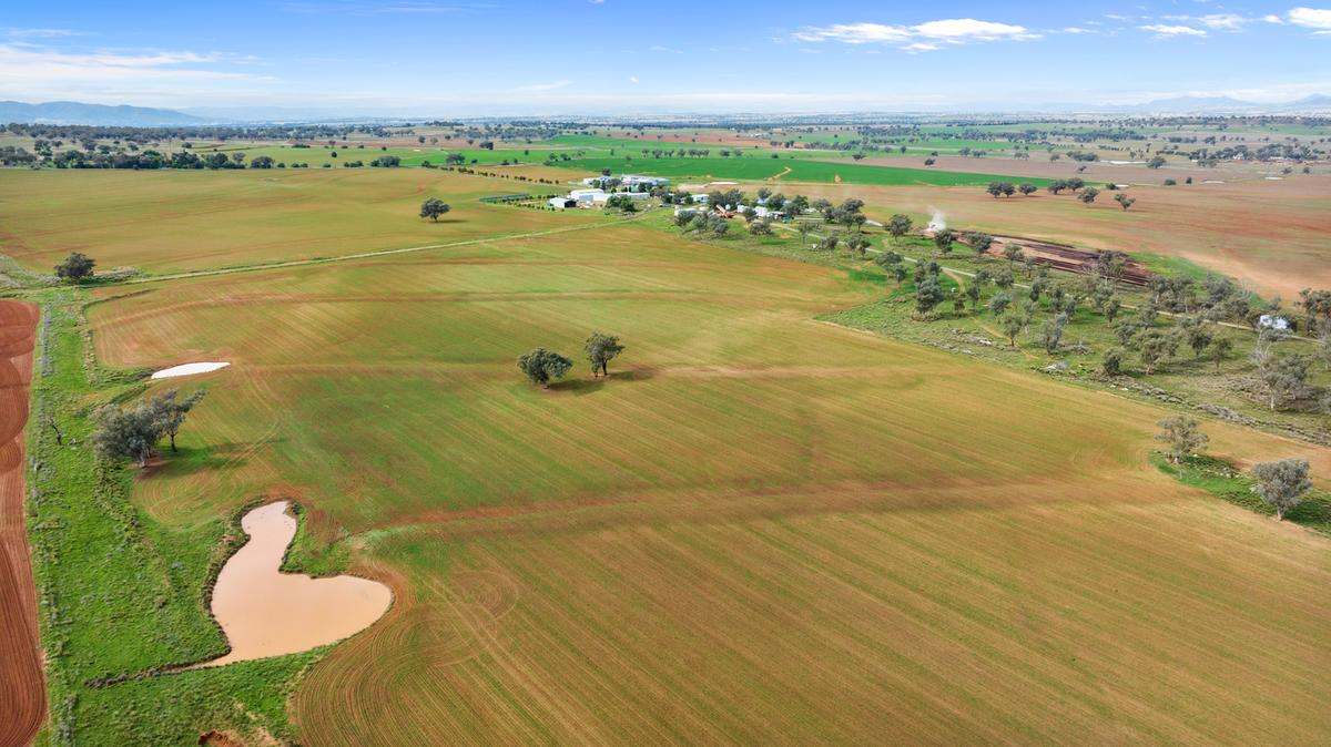 198 Careys Lane ,  Bective Expressions of Interest by Farmbuy.com - image 12