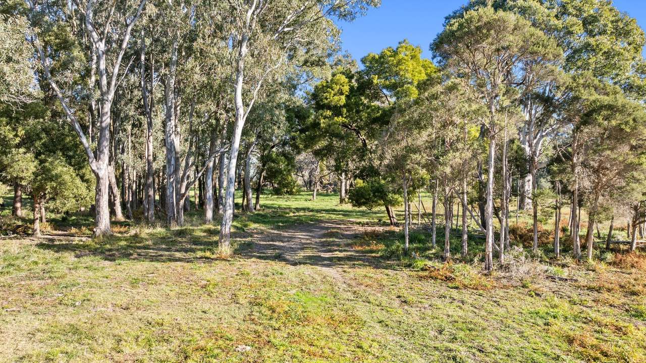 596 Settlement Road, Kilmany For Sale by Farmbuy.com - image 28