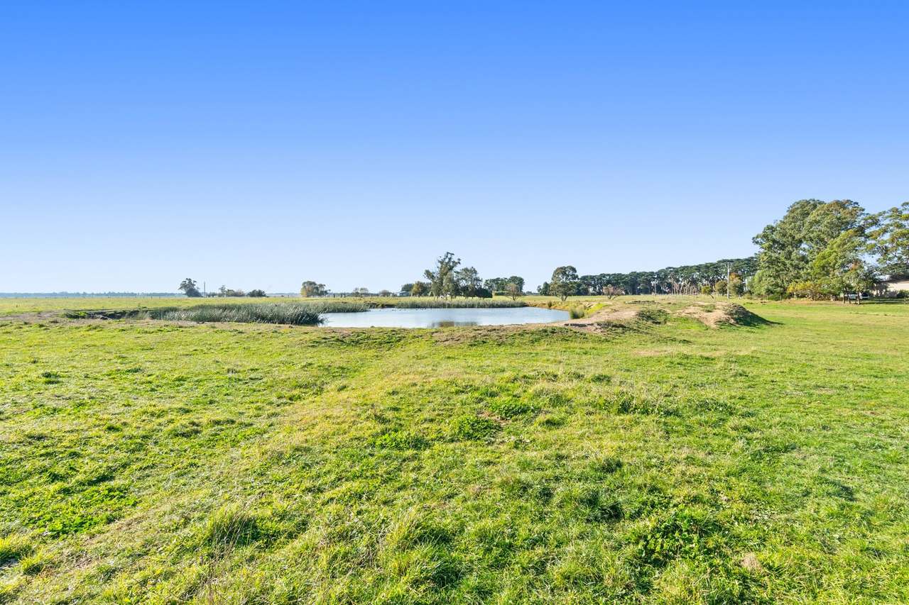 596 Settlement Road, Kilmany For Sale by Farmbuy.com - image 25