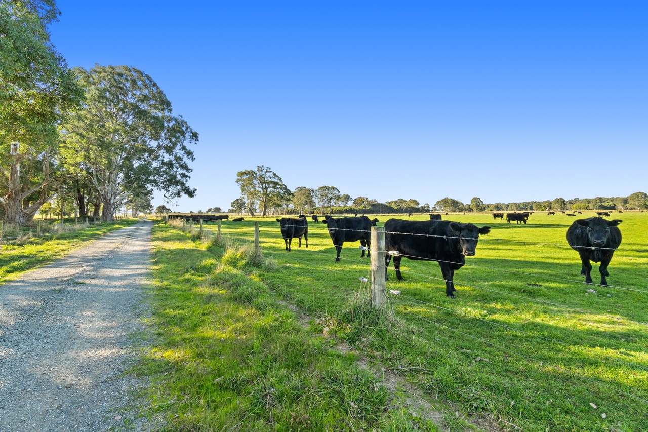 596 Settlement Road, Kilmany For Sale by Farmbuy.com - image 22