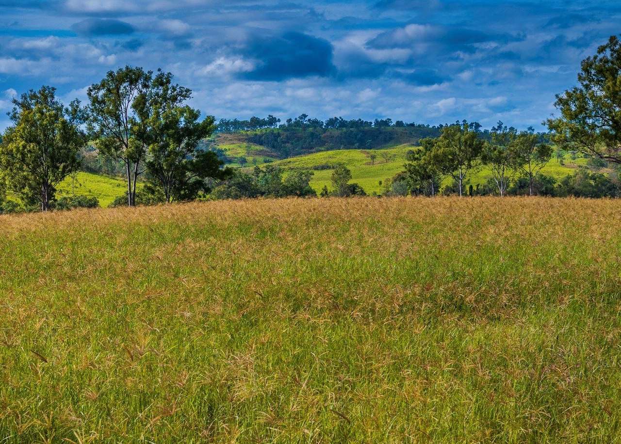 822 Rosehill Road, Takilberan Expressions of Interest by Farmbuy.com - image 19