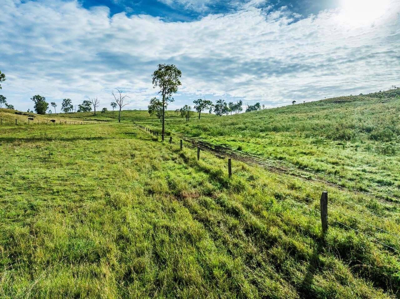 822 Rosehill Road, Takilberan Expressions of Interest by Farmbuy.com - image 21