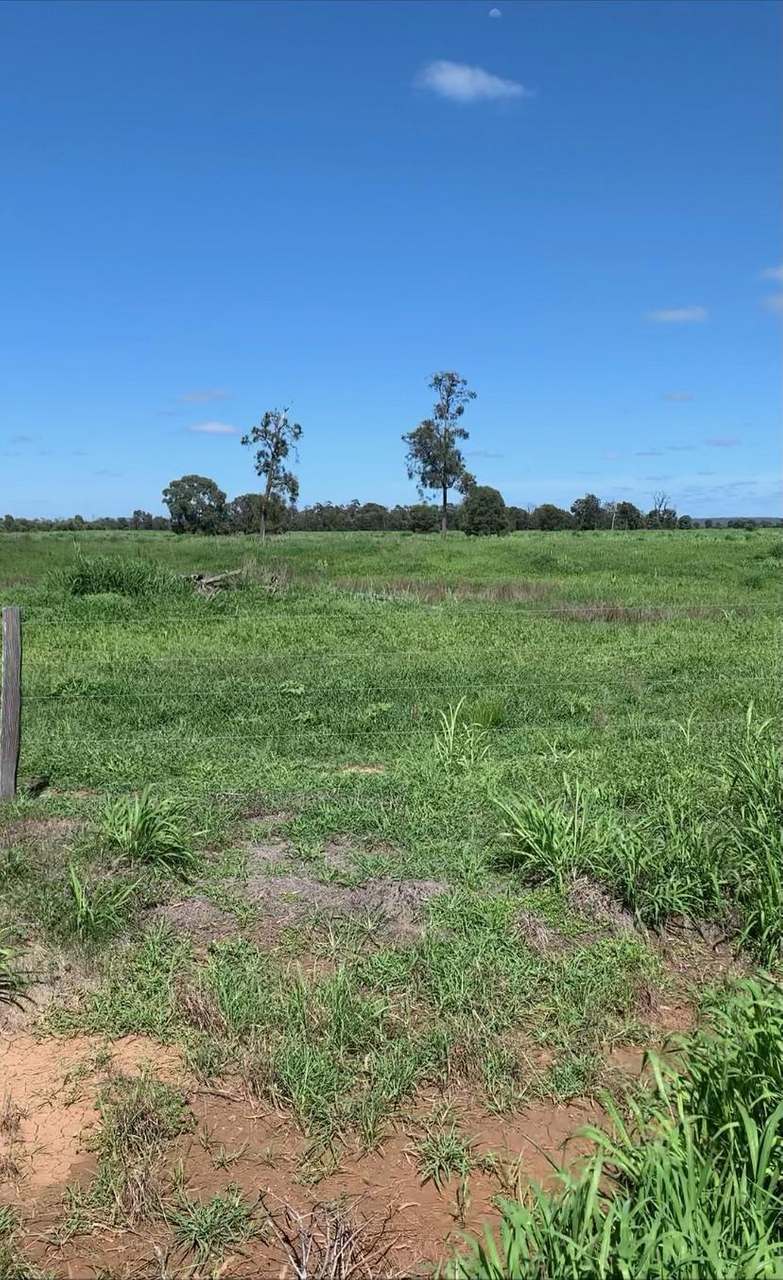 Woltmanns and Paines Road , Durong For Sale by Farmbuy.com - image 3