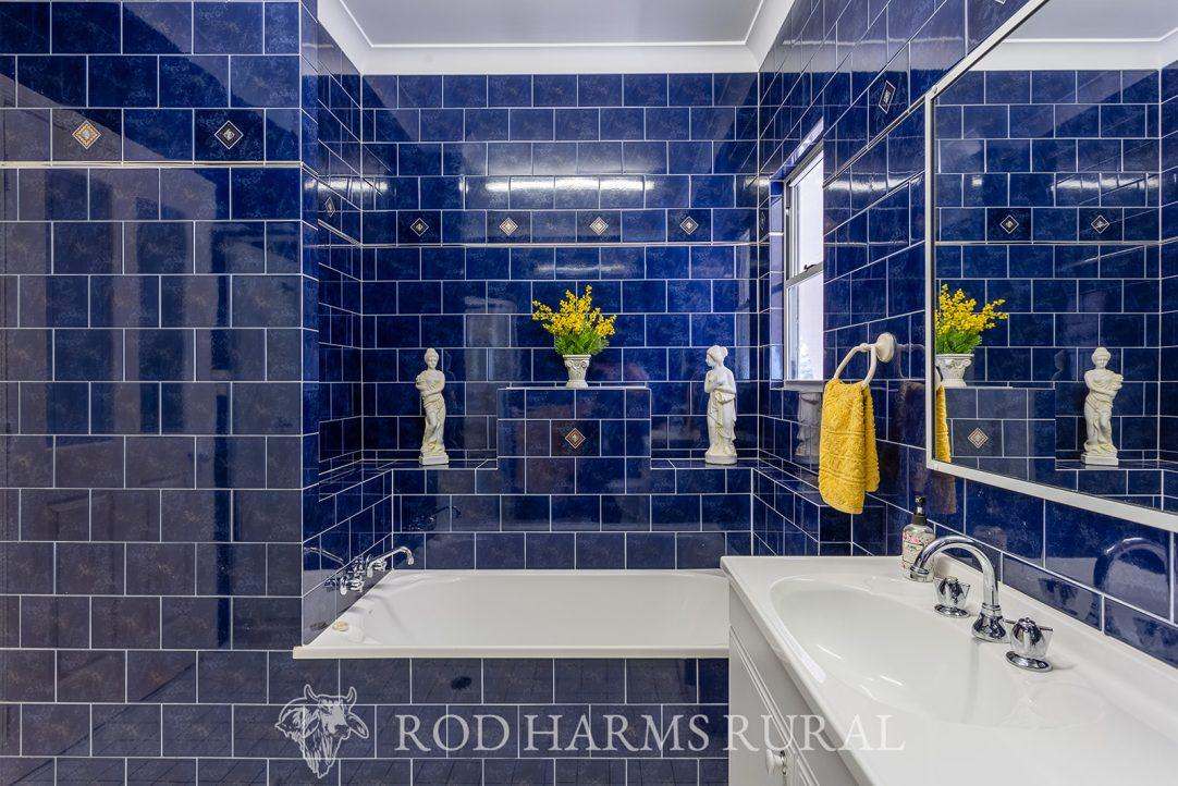 44 Constable Road, Limestone Creek For Sale by Farmbuy.com - image 20