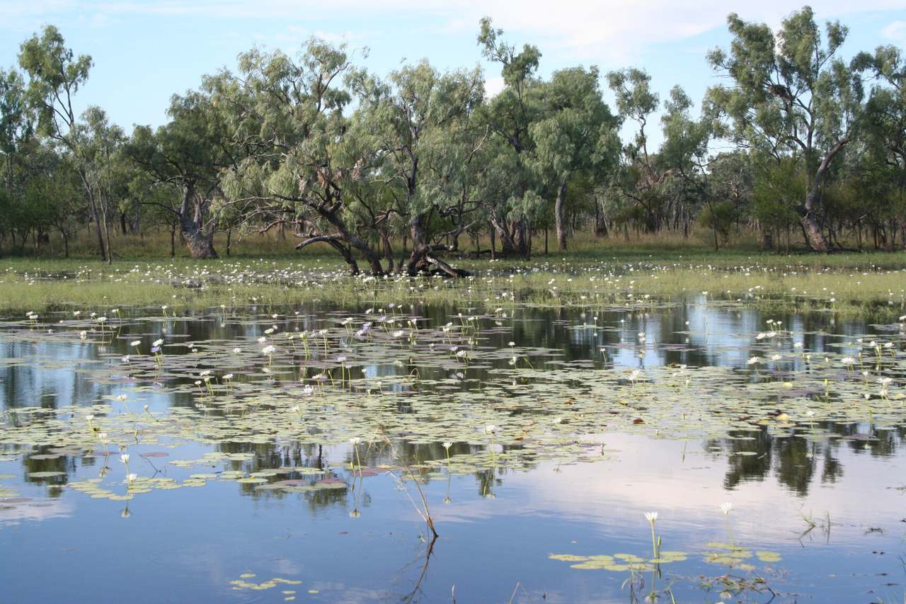 Coralie Road, Coralie For Sale by Farmbuy.com - image 2