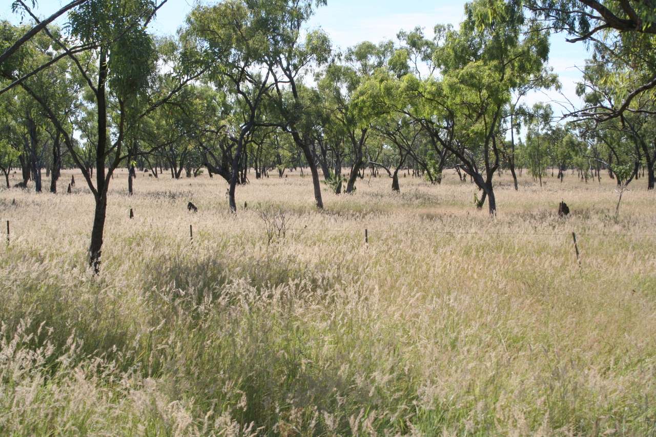 Coralie Road, Coralie For Sale by Farmbuy.com - image 3