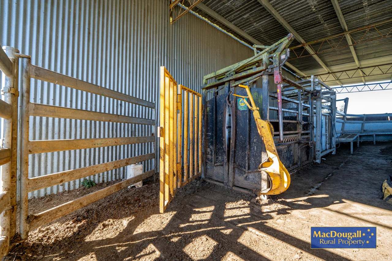 338 Fishington Road, Wongwibinda  For Sale by Farmbuy.com - image 12