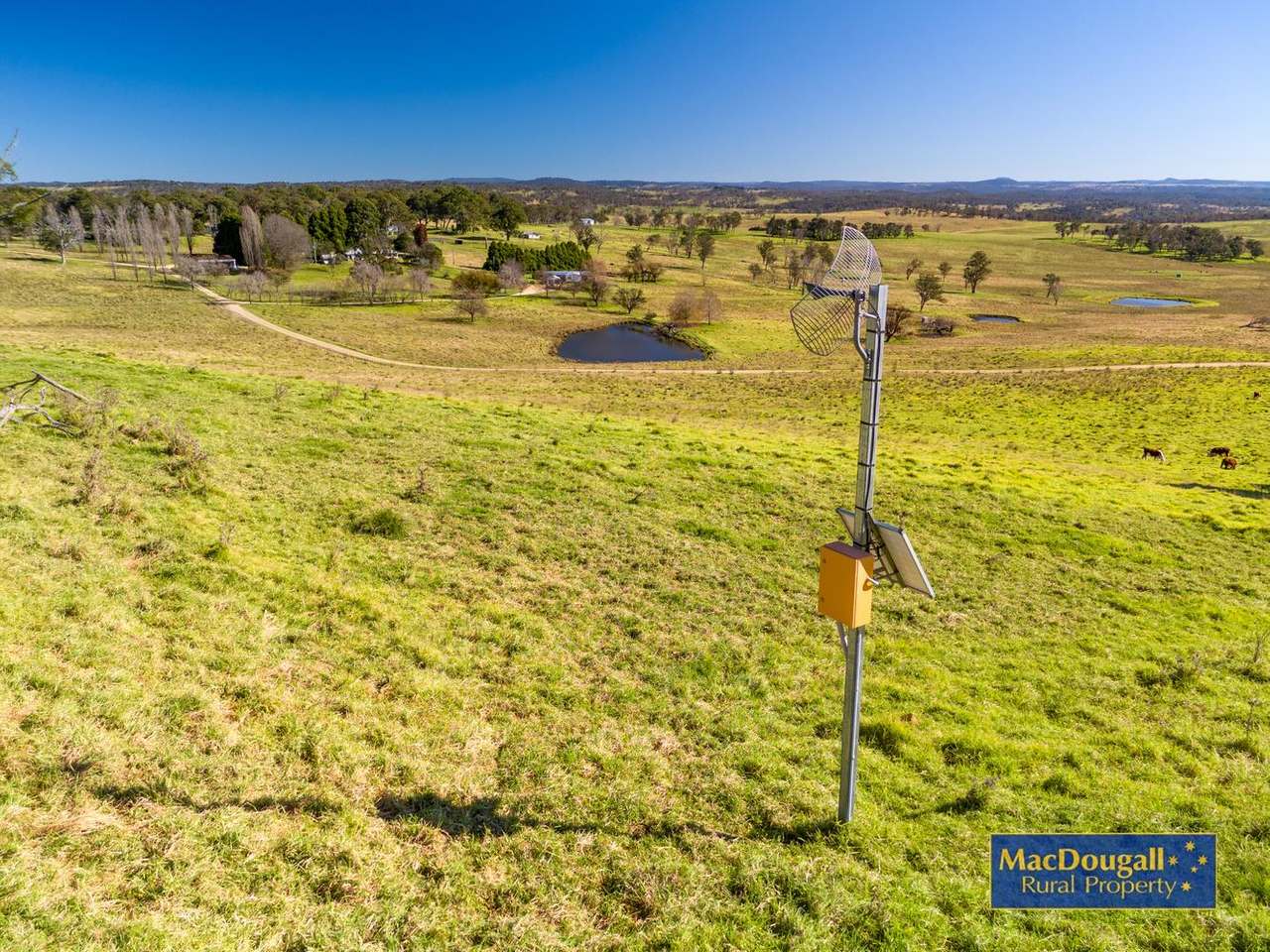 338 Fishington Road, Wongwibinda  For Sale by Farmbuy.com - image 6