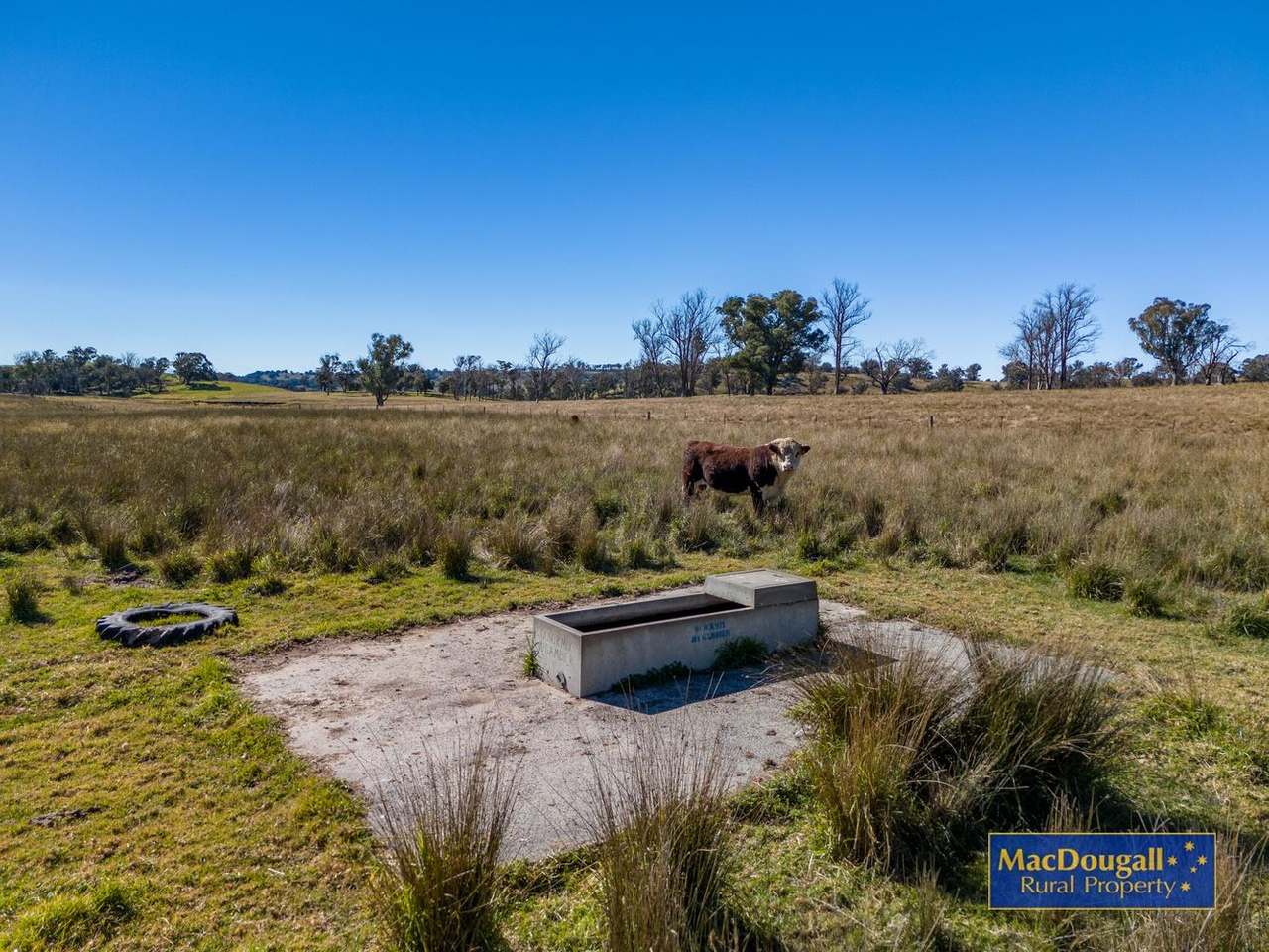 338 Fishington Road, Wongwibinda  For Sale by Farmbuy.com - image 17