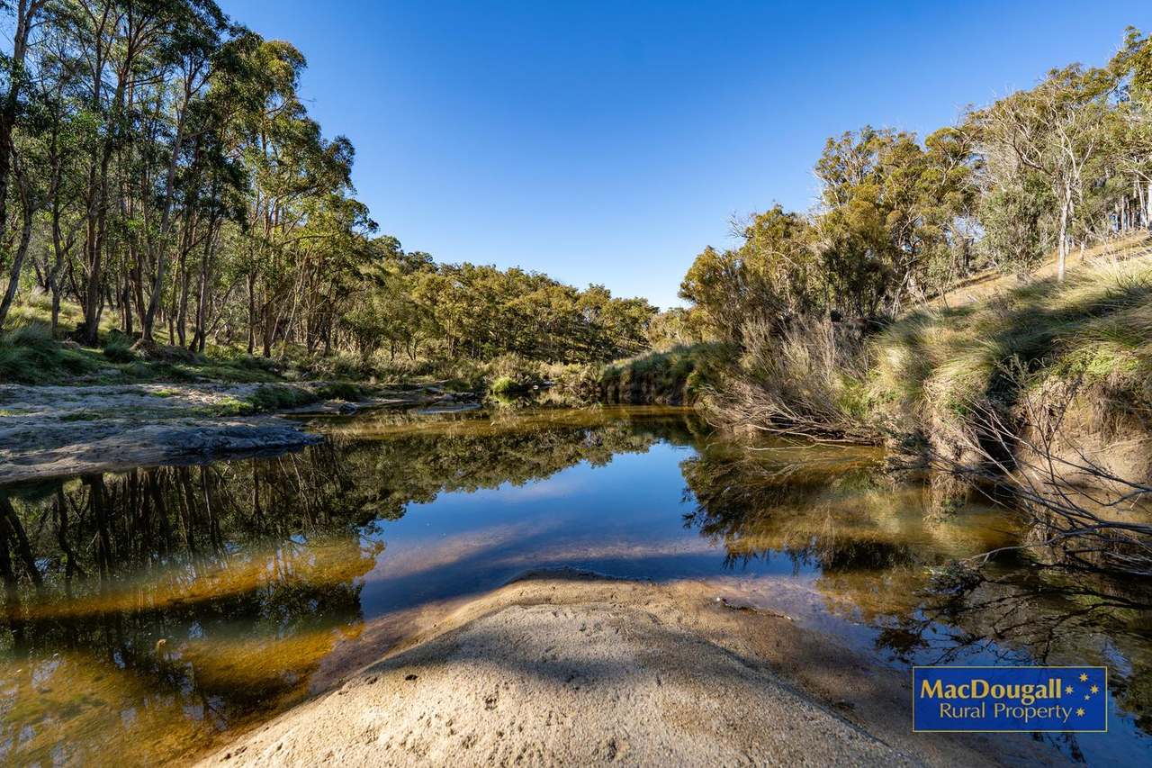 338 Fishington Road, Wongwibinda  For Sale by Farmbuy.com - image 25