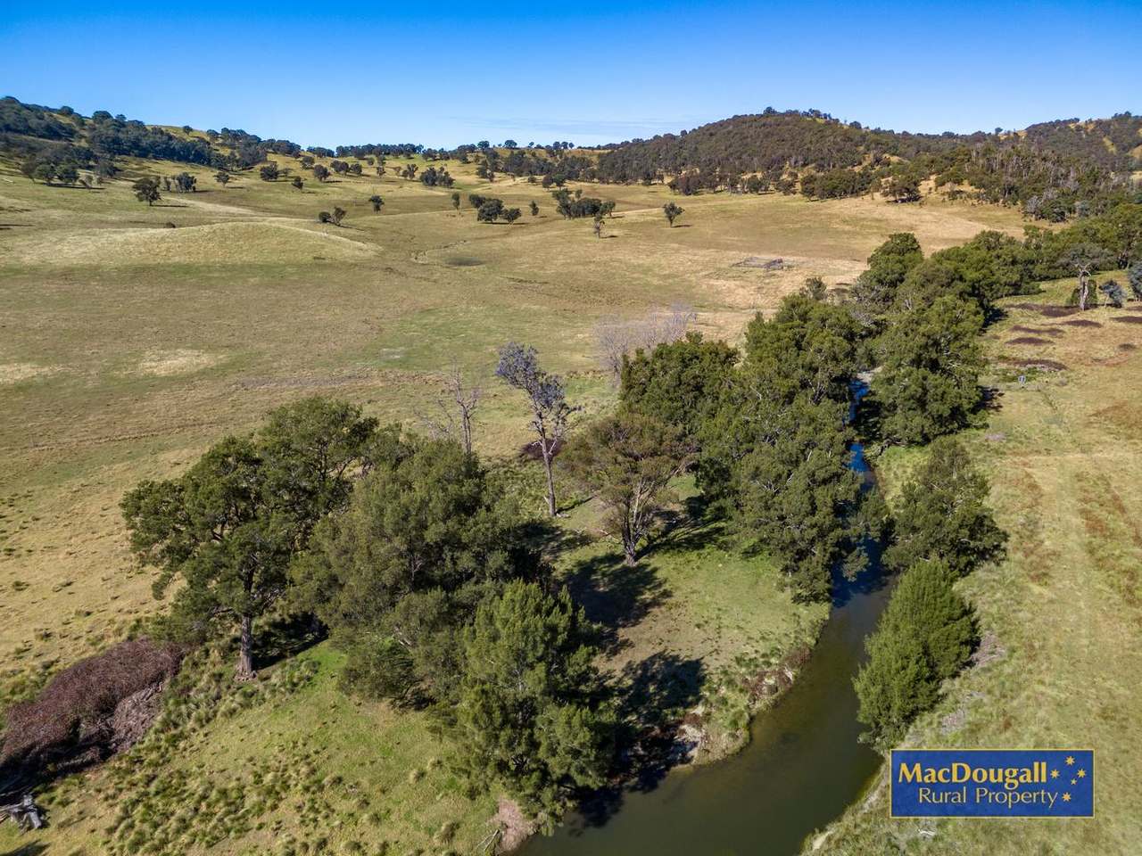338 Fishington Road, Wongwibinda  For Sale by Farmbuy.com - image 21
