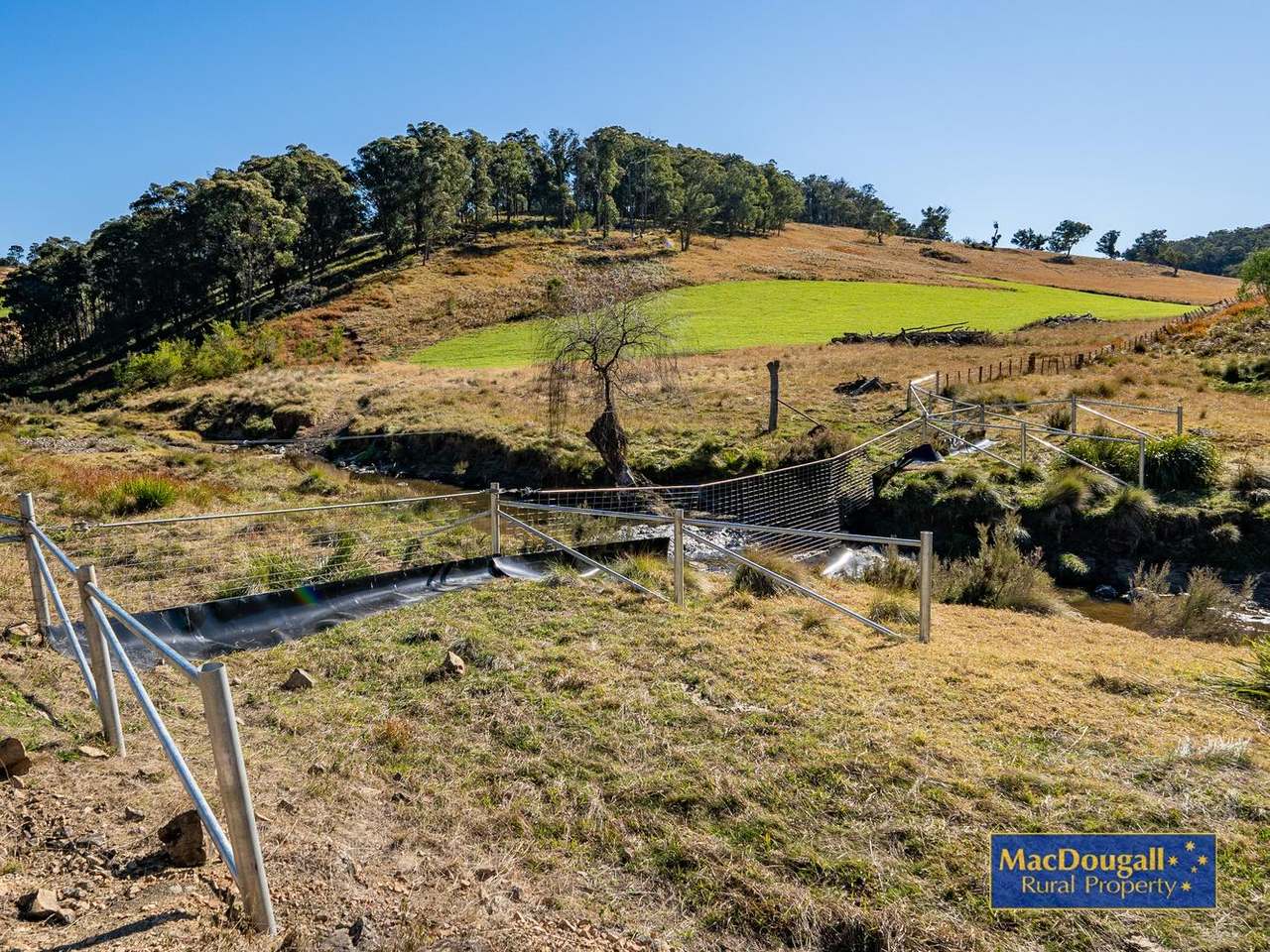 338 Fishington Road, Wongwibinda  For Sale by Farmbuy.com - image 23