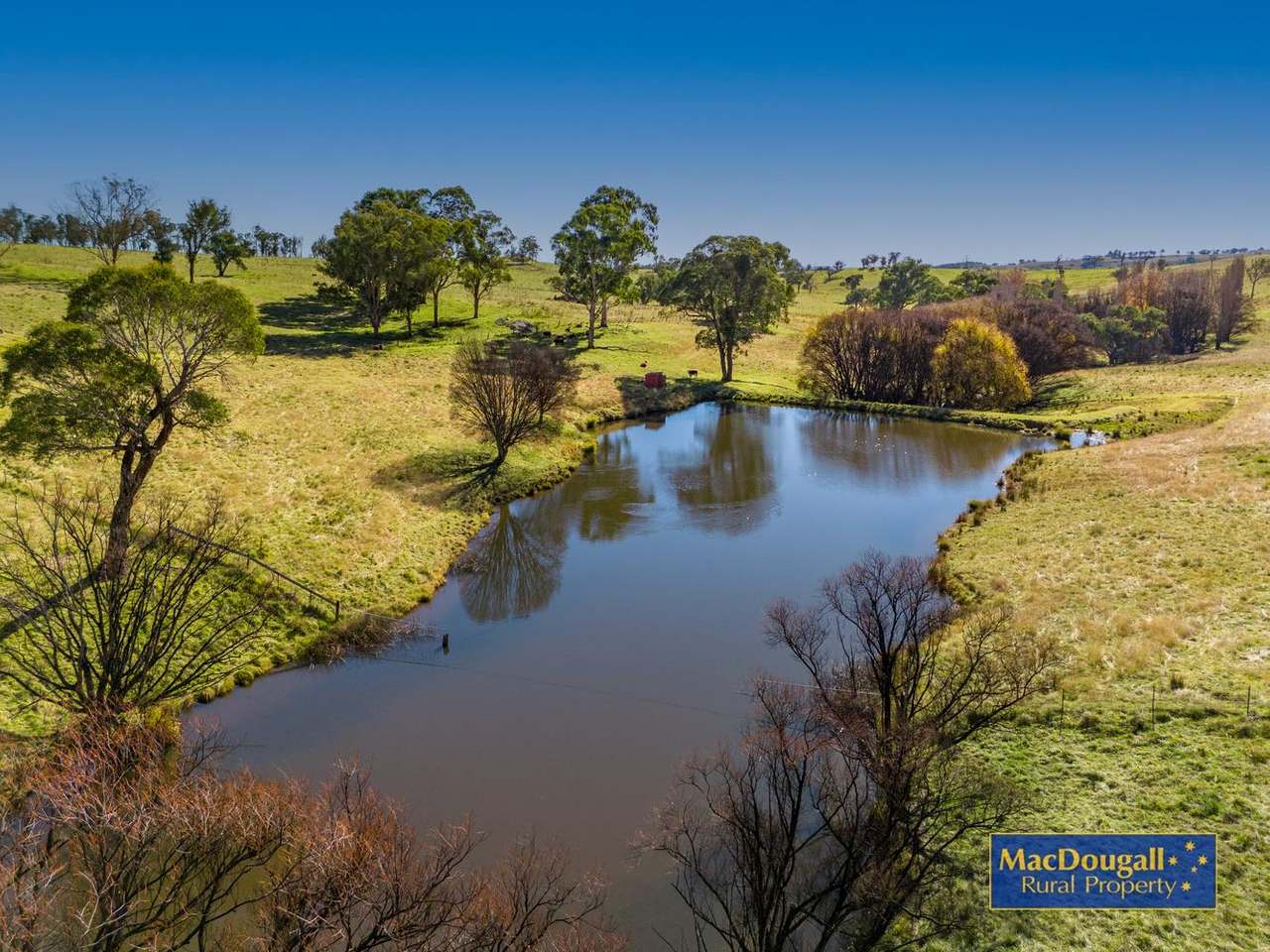 338 Fishington Road, Wongwibinda  For Sale by Farmbuy.com - image 15