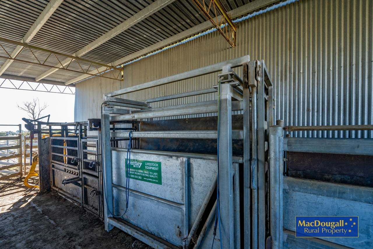 338 Fishington Road, Wongwibinda  For Sale by Farmbuy.com - image 11