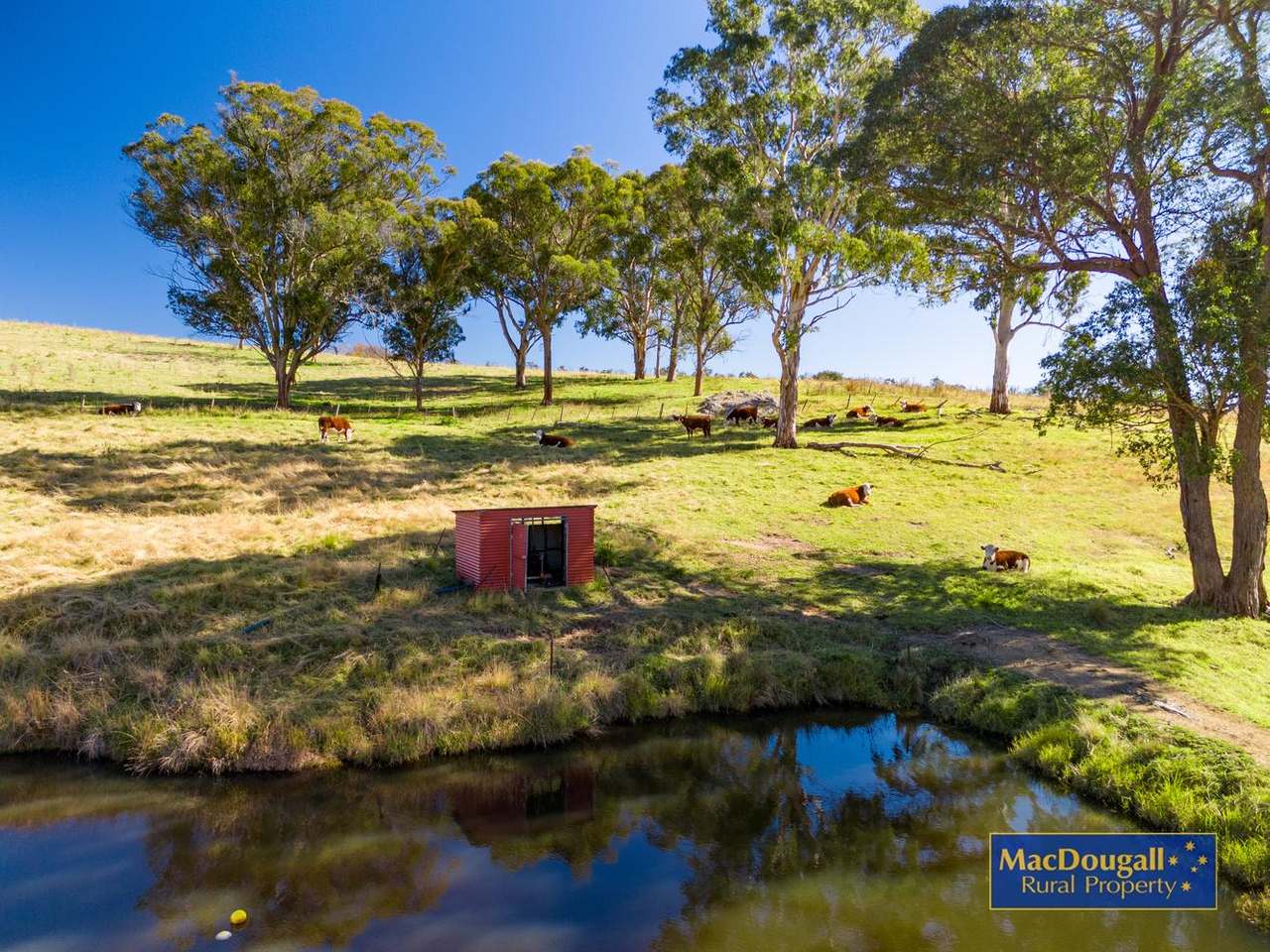 338 Fishington Road, Wongwibinda  For Sale by Farmbuy.com - image 14