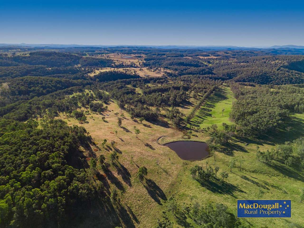 161 Hickeys Road, Wongwibinda For Sale by Farmbuy.com - image 13