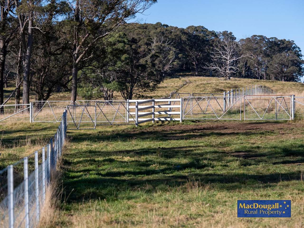161 Hickeys Road, Wongwibinda For Sale by Farmbuy.com - image 9